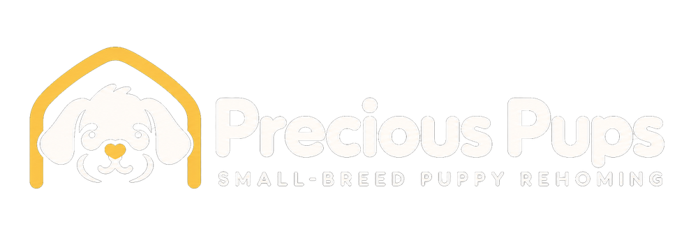 Precious Pups — Small-breed puppy rehoming